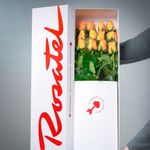 Caja Rosatel con 12 Rosas Rojas